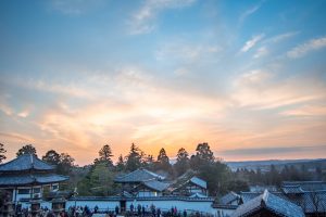 Best Temples Nara One Day