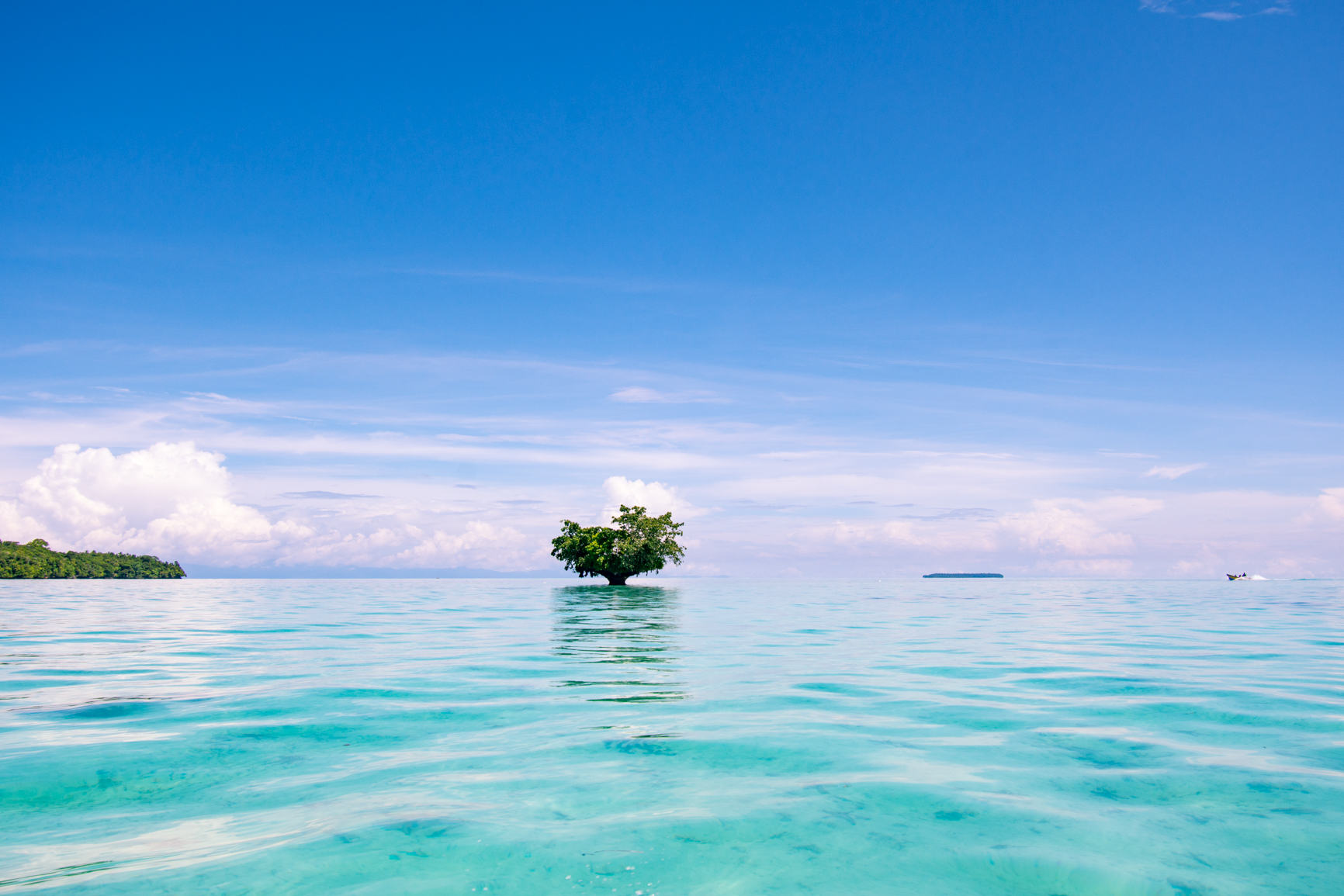 Diving Biak Padaido Islands