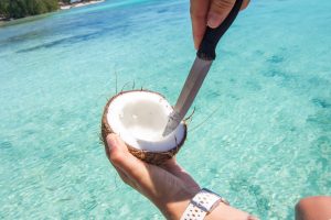 Vegan Food in Tikehau Coconut