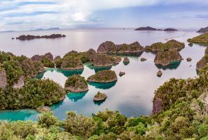 Raja Ampat Fam Island
