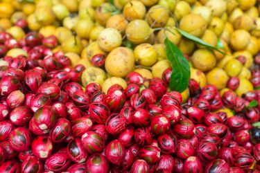 Nutmeg Banda Islands Nutmeg Banda Islands