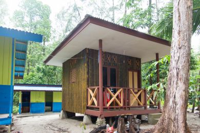 Sowa village whale sharks nabire Sowa village whale sharks nabire