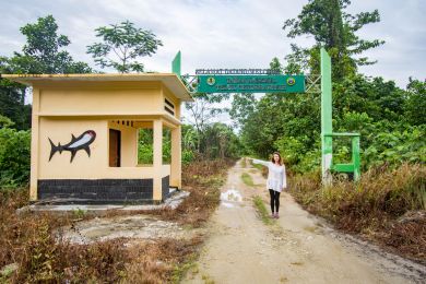 Sowa village whale sharks nabire Sowa village whale sharks nabire