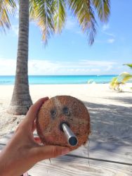 Vegan in French Polynesia Vegan in French Polynesia