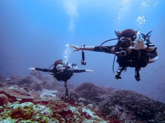 Diving Wakatobi Diving Wakatobi