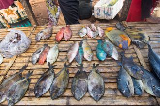 Local Market Tomia Wakatobi Local Market Tomia Wakatobi